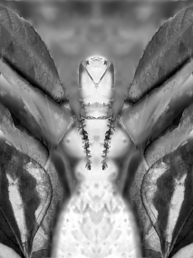 Permutation I
