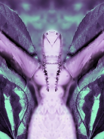 Permutation II