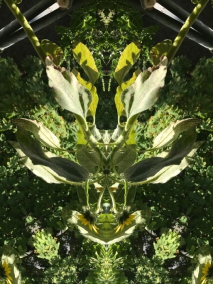 Natur Interpretation I